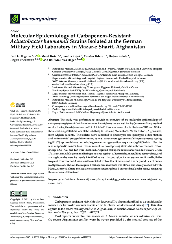 (PDF) Molecular Epidemiology of Carbapenem-Resistant Acinetobacter ...