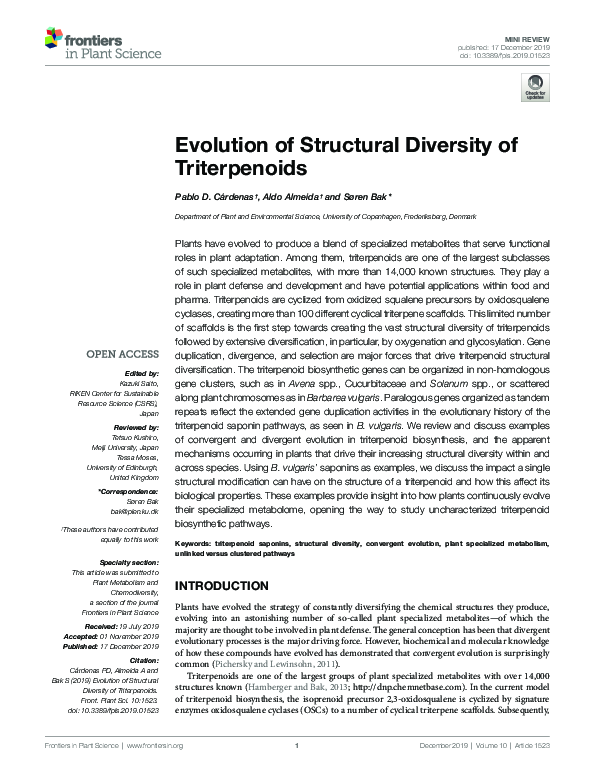 (PDF) Evolution of Structural Diversity of Triterpenoids