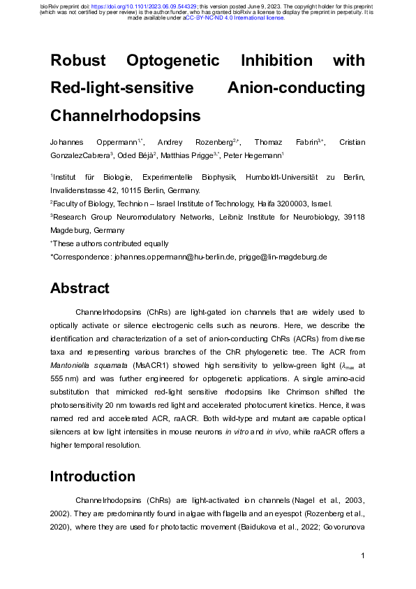 (PDF) Robust Optogenetic Inhibition with Red-light-sensitive Anion ...