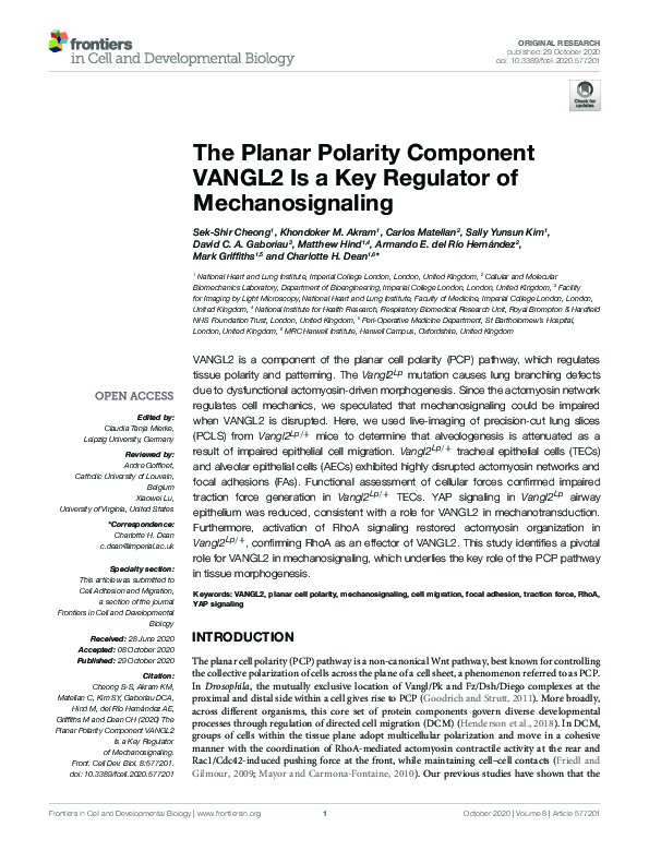 (PDF) The Planar Polarity Component VANGL2 Is a Key Regulator of ...