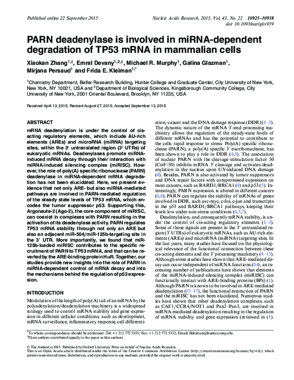 (PDF) PARN deadenylase is involved in miRNA-dependent degradation of ...