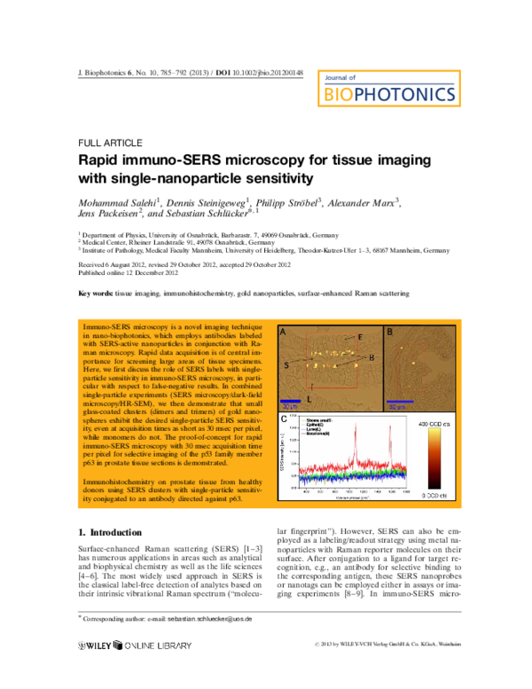 (PDF) Rapid immuno-SERS microscopy for tissue imaging with single ...