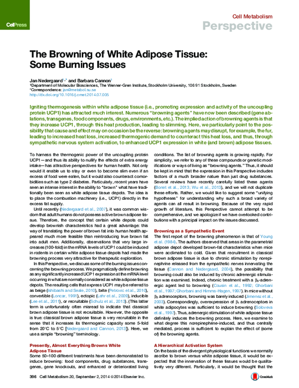 (PDF) The Browning of White Adipose Tissue: Some Burning Issues