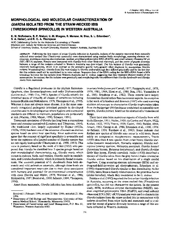 (PDF) Morphological and Molecular Characterization of Giardia Isolated ...