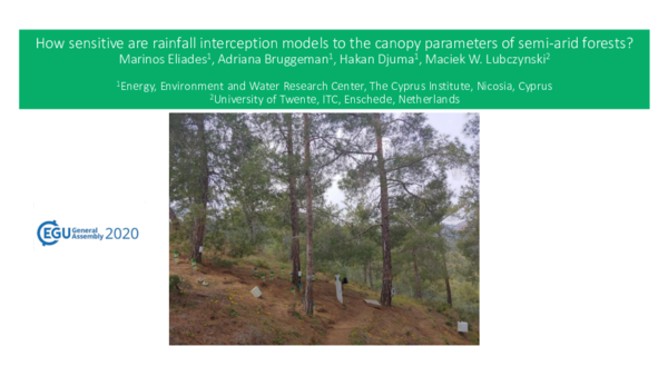(PDF) How sensitive are rainfall interception models to the canopy ...