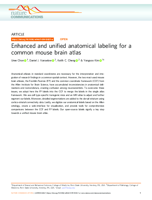(PDF) Enhanced and unified anatomical labeling for a common mouse brain ...