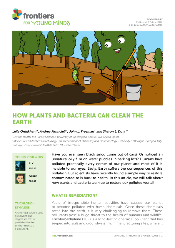 (PDF) How Plants and Bacteria can Clean the Earth