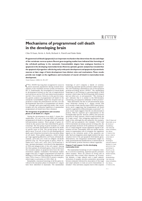 (PDF) Mechanisms of programmed cell death in the developing brain