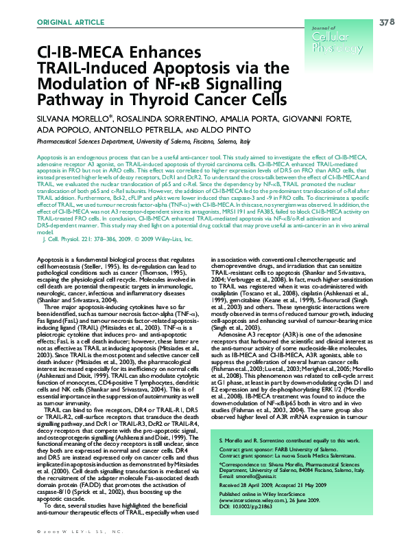 (PDF) Cl-IB-MECA enhances TRAIL-induced apoptosis via the modulation of ...