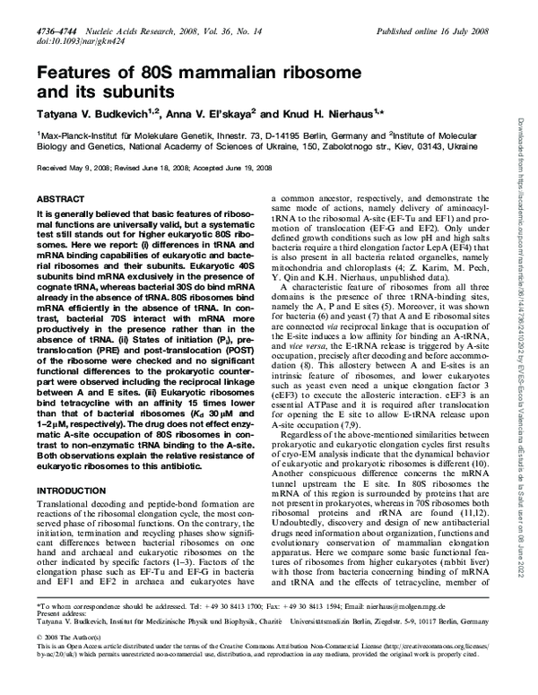 (PDF) Features of 80S mammalian ribosome and its subunits