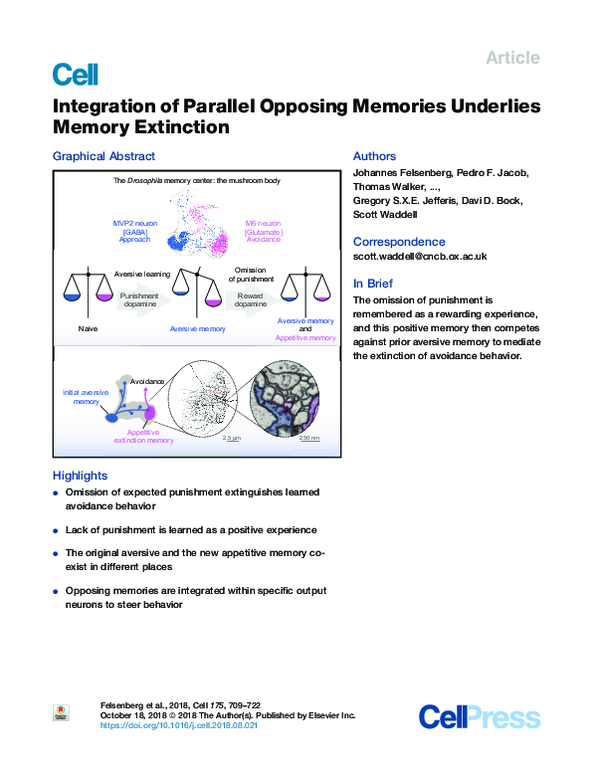 (PDF) Integration of Parallel Opposing Memories Underlies Memory Extinction
