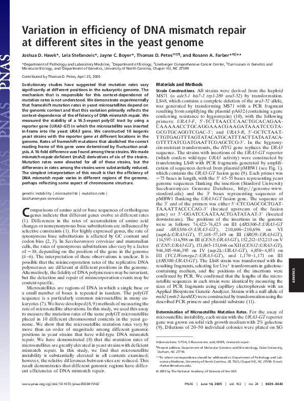 (PDF) Variation in efficiency of DNA mismatch repair at different sites ...