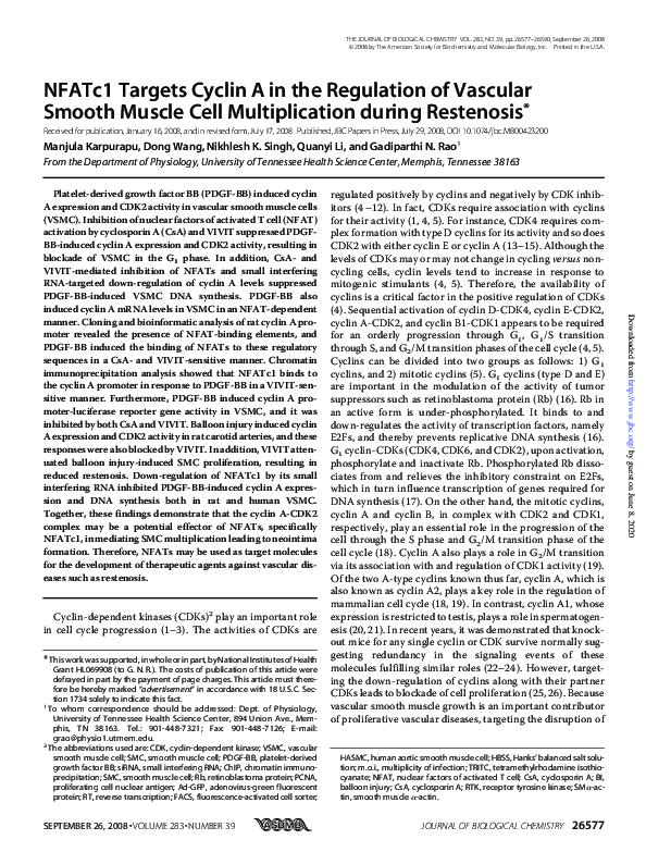 (PDF) NFATc1 Targets Cyclin A in the Regulation of Vascular Smooth ...