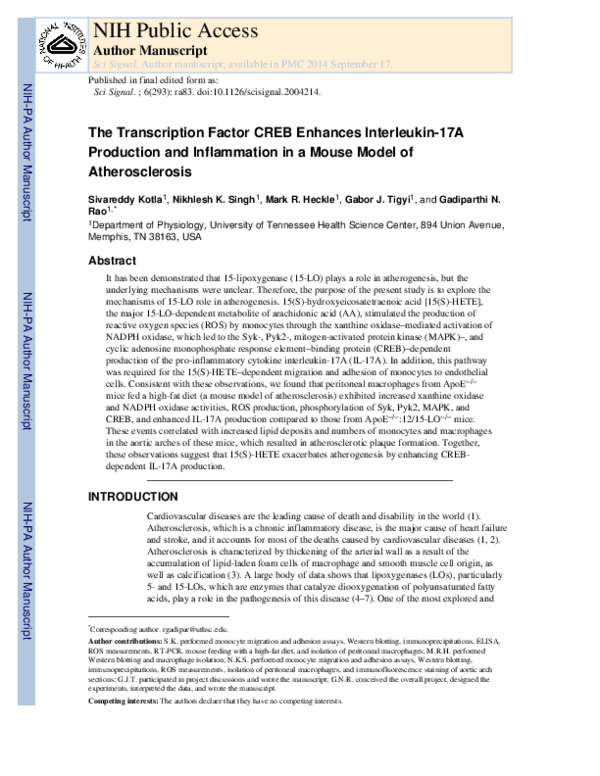 (PDF) The Transcription Factor CREB Enhances Interleukin-17A Production ...