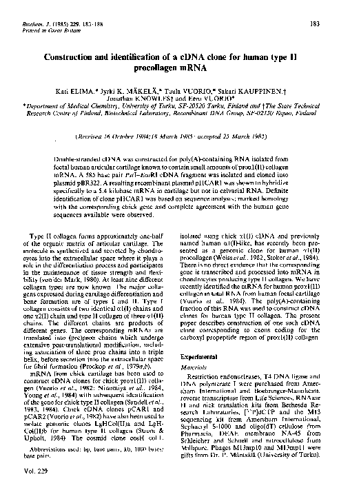 (PDF) Construction and identification of a cDNA clone for human type II ...
