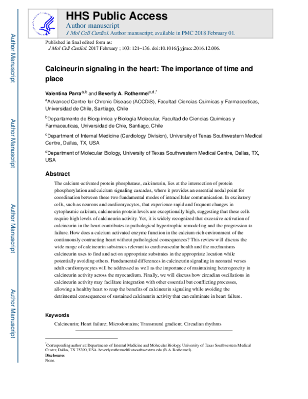 (PDF) Calcineurin signaling in the heart: The importance of time and place