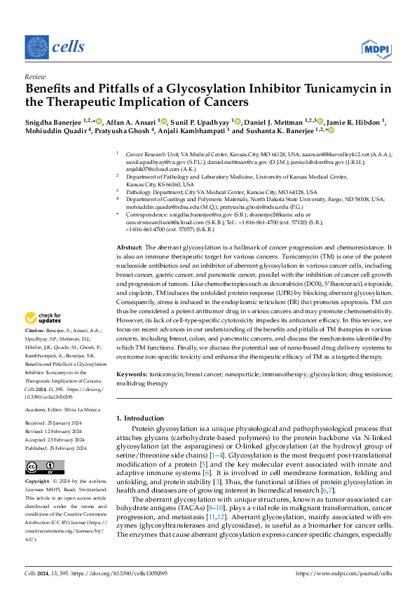 (PDF) Benefits and Pitfalls of a Glycosylation Inhibitor Tunicamycin in ...
