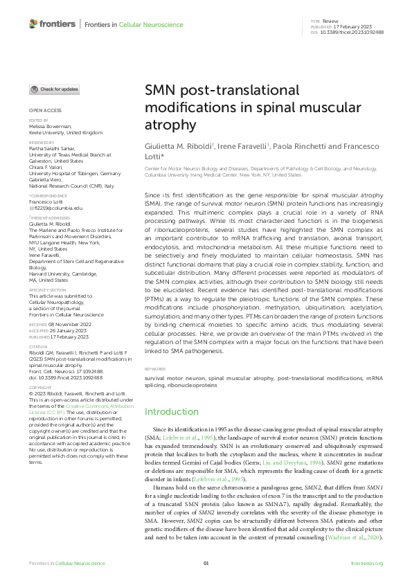 (PDF) SMN post-translational modifications in spinal muscular atrophy