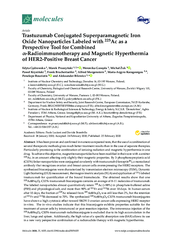 (PDF) Trastuzumab Conjugated Superparamagnetic Iron Oxide Nanoparticles ...