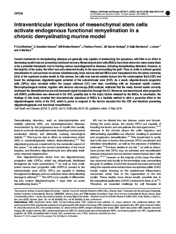 (PDF) Intraventricular injections of mesenchymal stem cells activate ...