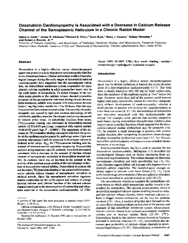 (PDF) Doxorubicin cardiomyopathy is associated with a decrease in ...
