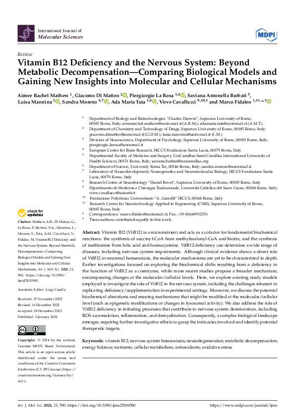 (PDF) Vitamin B12 Deficiency and the Nervous System: Beyond Metabolic ...