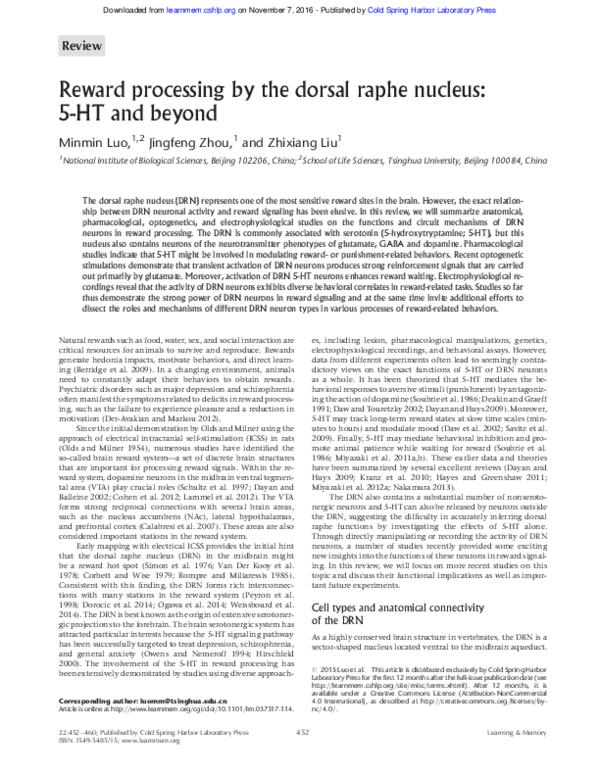 (PDF) Reward processing by the dorsal raphe nucleus: 5-HT and beyond