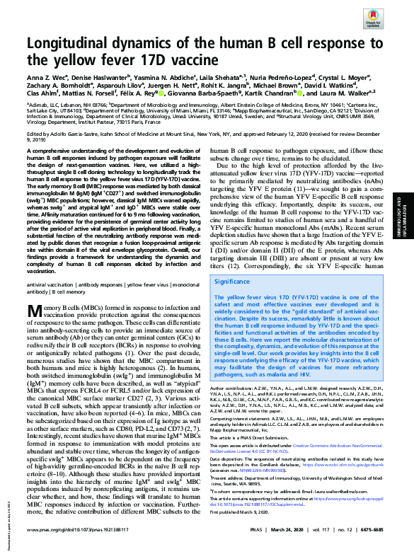 (PDF) Longitudinal dynamics of the human B cell response to the yellow ...