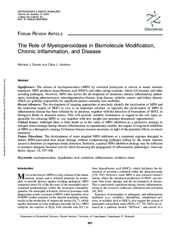 (PDF) The Role of Myeloperoxidase in Biomolecule Modification, Chronic ...