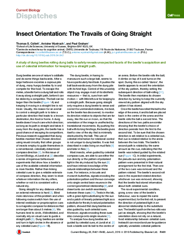 (PDF) Insect Orientation: The Travails of Going Straight