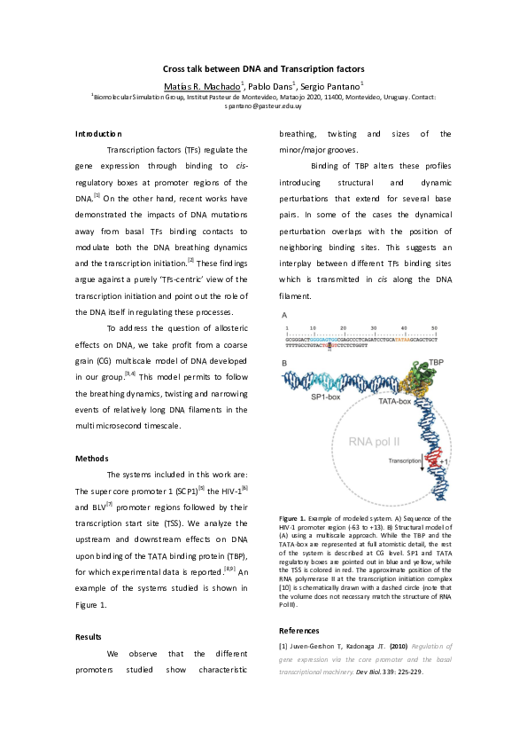 (PDF) Cross talk between DNA and Transcription factors