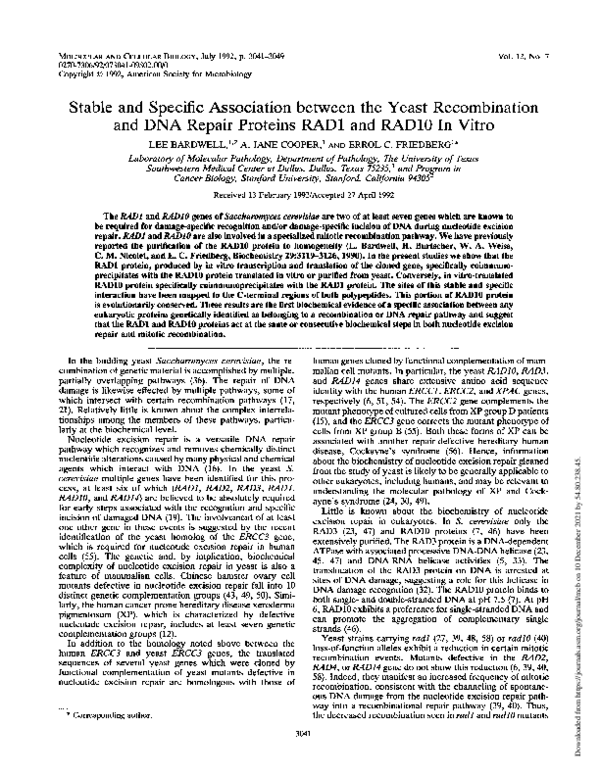 (PDF) Stable and specific association between the yeast recombination ...