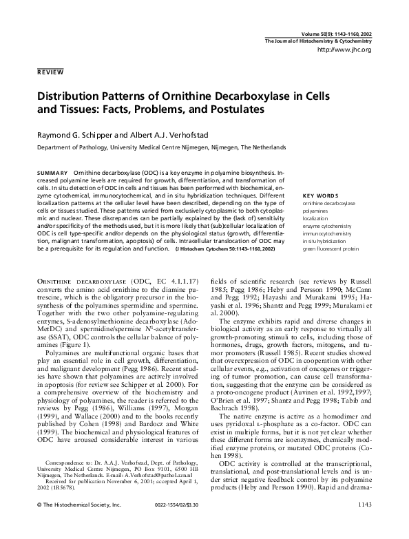 (PDF) Distribution Patterns of Ornithine Decarboxylase in Cells and ...