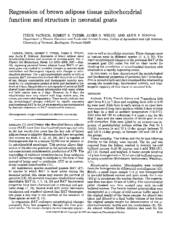 (PDF) Regression of brown adipose tissue mitochondrial function and ...