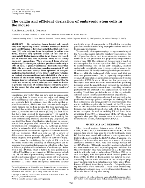 (PDF) The origin and efficient derivation of embryonic stem cells in ...