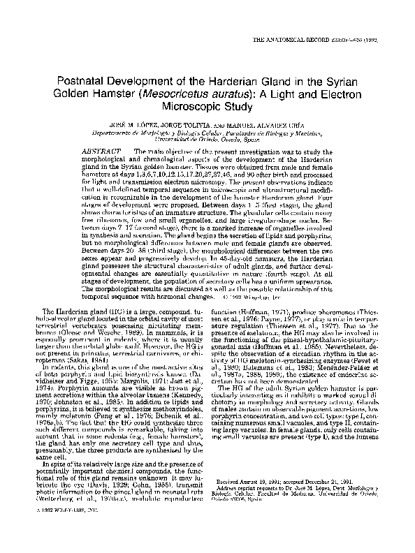 (PDF) Postnatal development of the harderian gland in the Syrian golden ...