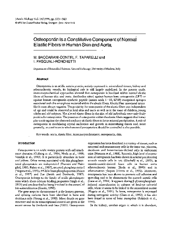 (PDF) Osteopontin is a constitutive component of normal elastic fibers ...