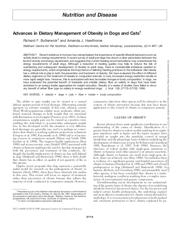 Beautiful view of Treatment And Management Of Dog Obesity
