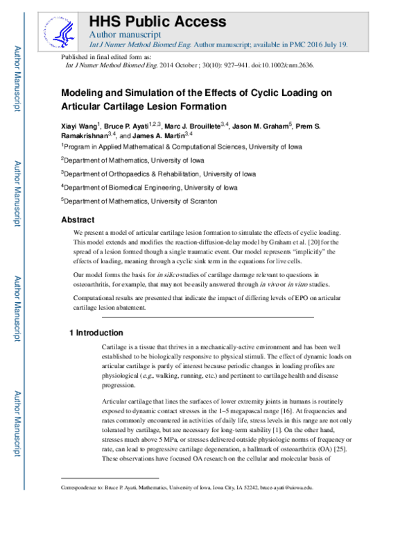 (PDF) Modeling and simulation of the effects of cyclic loading on ...