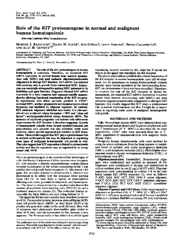 (PDF) Role of the KIT protooncogene in normal and malignant human ...