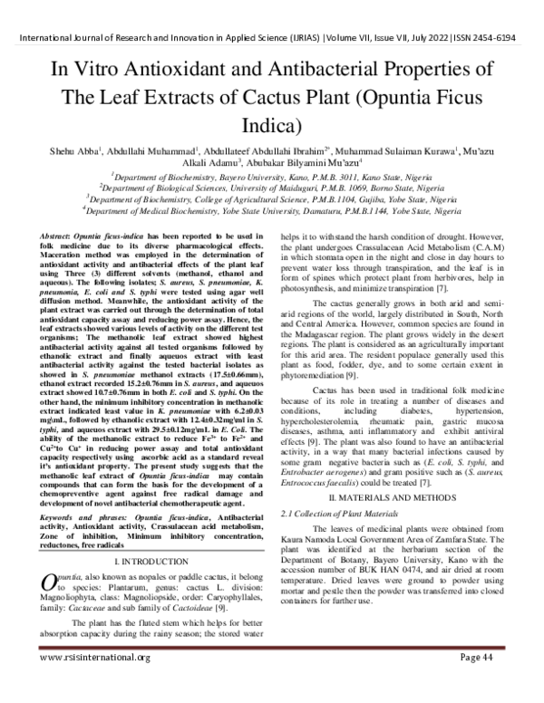 (PDF) In Vitro Antioxidant and Antibacterial Properties of The Leaf ...