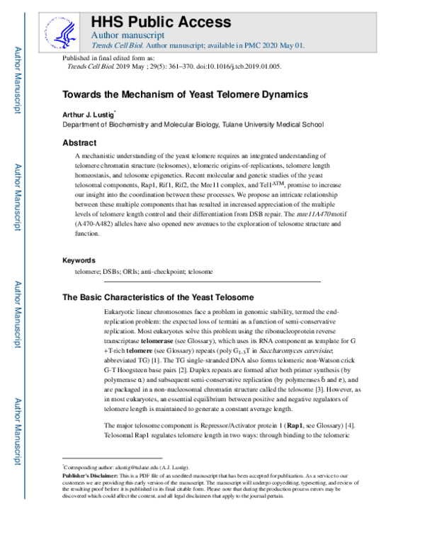 (PDF) Towards the Mechanism of Yeast Telomere Dynamics