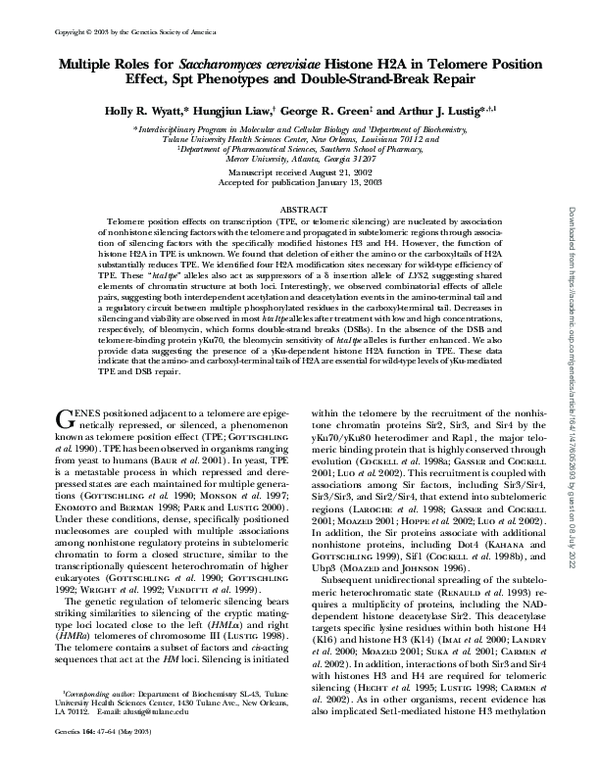 (PDF) Multiple Roles for Saccharomyces cerevisiae Histone H2A in ...