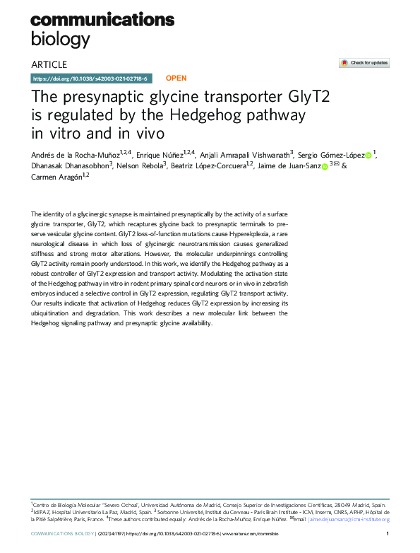 (PDF) The presynaptic glycine transporter GlyT2 is regulated by the ...