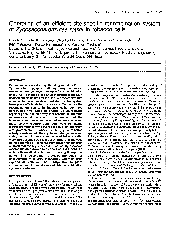 (PDF) Operation of an efficient site-specific recombination system of ...