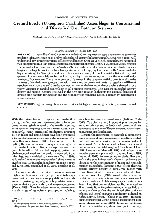 (PDF) Ground Beetle (Coleoptera: Carabidae) Assemblages in Conventional ...