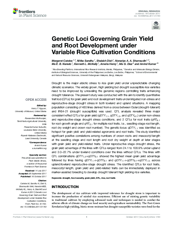 (PDF) Genetic Loci Governing Grain Yield and Root Development under ...