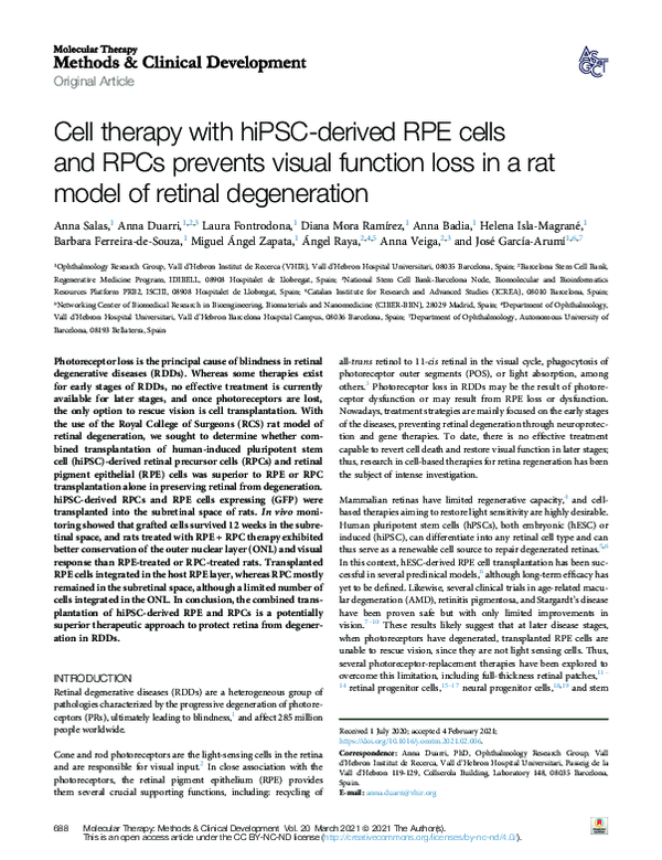 (PDF) Cell therapy with hiPSC-derived RPE cells and RPCs prevents ...