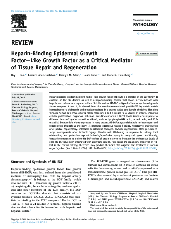 (PDF) Heparin-Binding Epidermal Growth Factor–Like Growth Factor as a ...