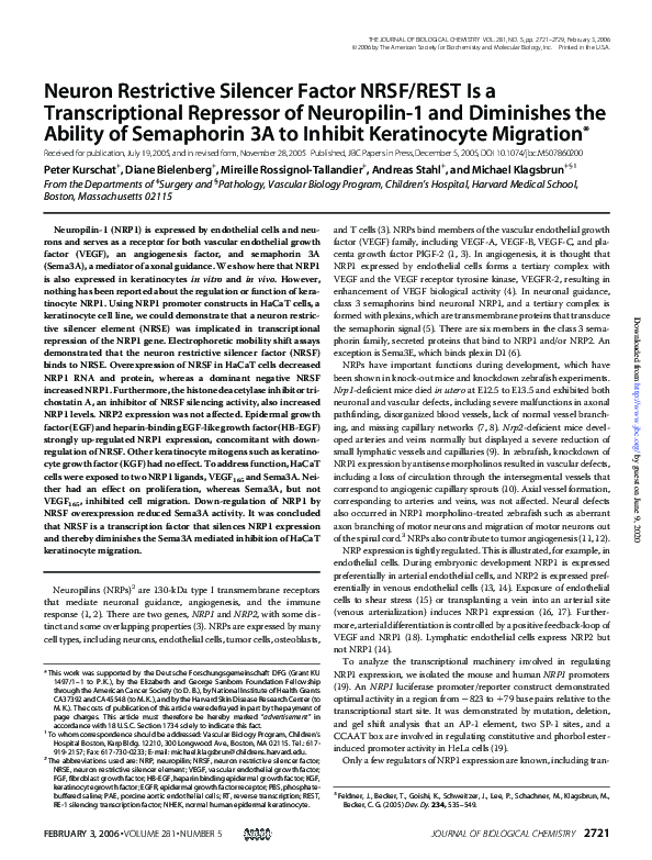 (PDF) Neuron Restrictive Silencer Factor NRSF/REST Is a Transcriptional ...